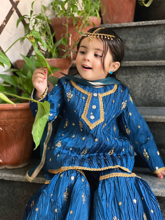 Zinc Gharara Set  – 3P Katan Silk Base with Golden Embroidery