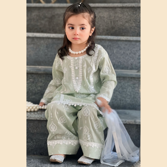 Pistachio Block Printed Farshi Shalwar 3P Set – Premium Lawn(Deen Textile)