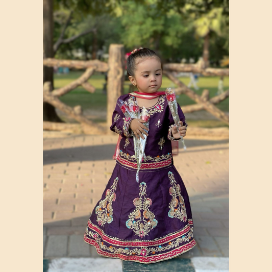 Raw Silk Lehenga Set | Gota-Resham Work and Embroidered  – 3P