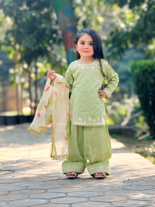 Farshi Shalwar Doriya Cotton with Hand-Painted Organza