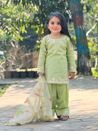 Farshi Shalwar Doriya Cotton with Hand-Painted Organza