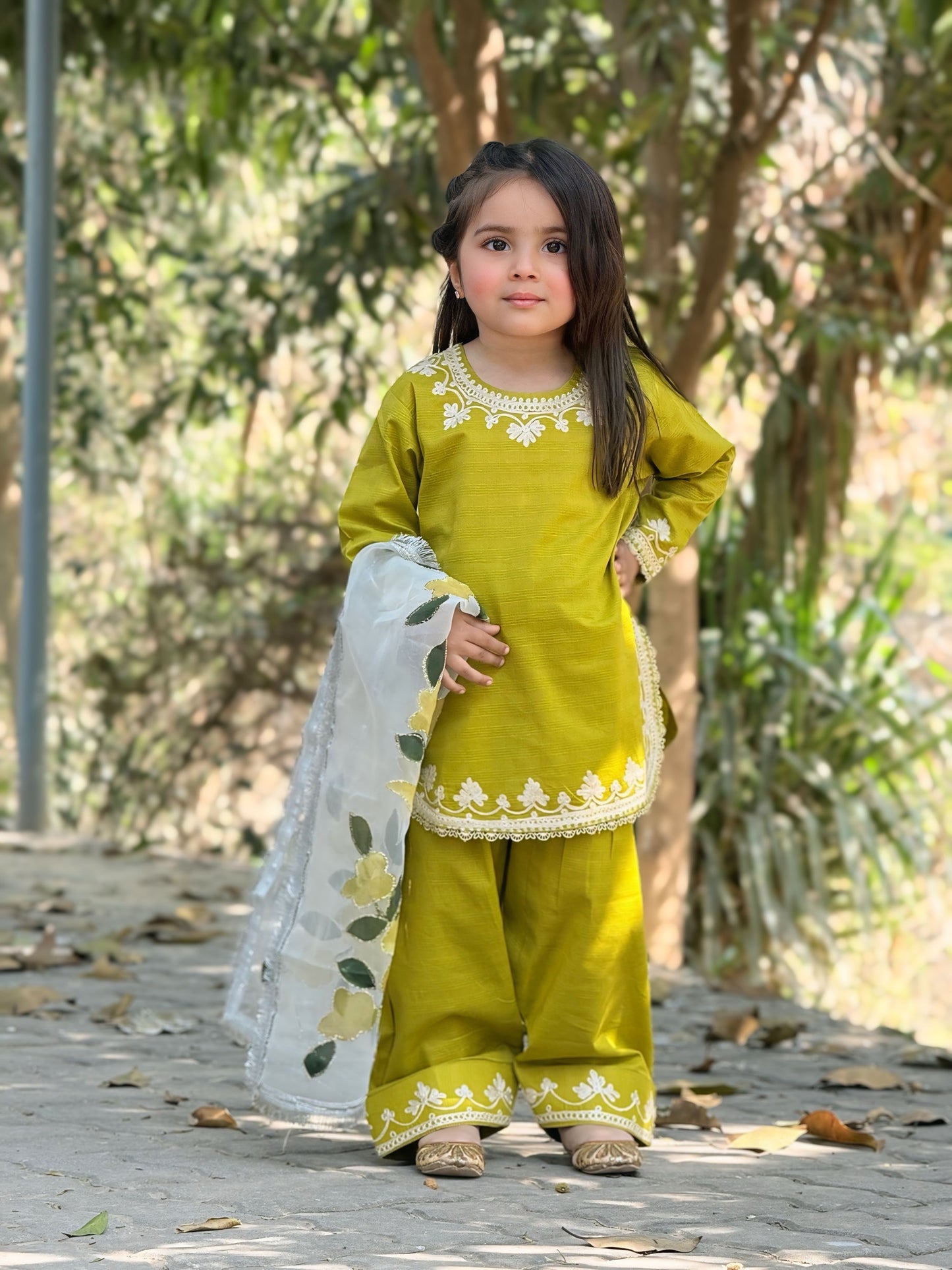 Farshi Shalwar Doriya Cotton with Hand-Painted Organza