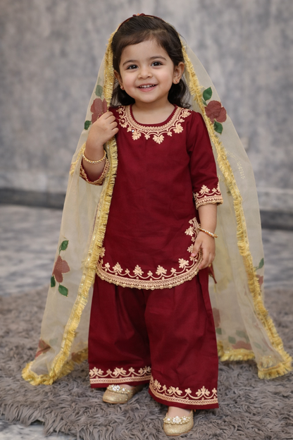 Farshi Shalwar Doriya Cotton with Hand-Painted Organza