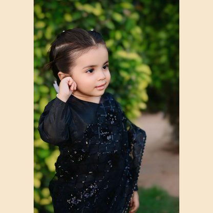 Premium Net Saree – Imported Net & Katan Silk Blouse (Ready to Wear)