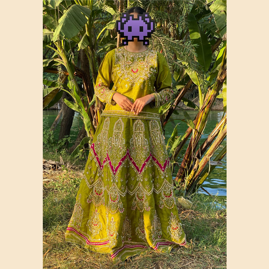 Luxury Olive Velvet Lehanga - Aplic Work Elegance