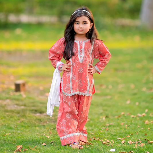 Premium Farshi Shalwar 3-Piece Lawn Set – Block Printed (Deen Textile)